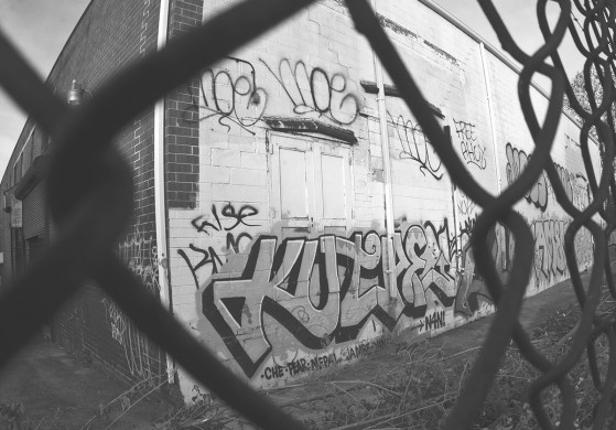 NEWS_03_credit_stuartmcalpine-559x390