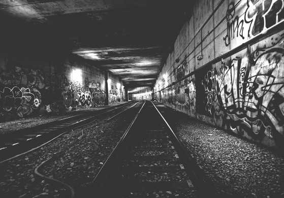 NEWS_08_credit_stuartmcalpine-559x390