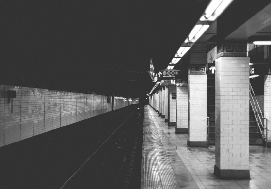 NEWS_10_credit_stuartmcalpine-559x390