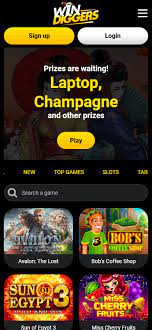 Win Diggers Casino Review Win Diggers Casino Review