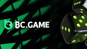 Step-by-Step Guide to the BC.Game Registration Process -944938013